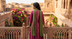 The Amaranth Creeper Panelled Set