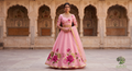 The Gulabi Bagh Handpainted Organza Lehenga Set